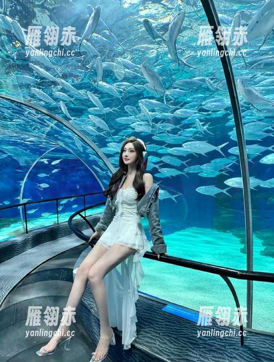 在“911吃瓜”传送门里，时间仿佛是静止的，大家都是吃瓜狂魔