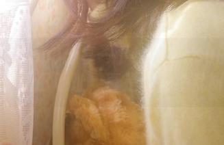 分享一下tttzzz.su的神奇黑料入口地址，真是眼花缭乱呀～
