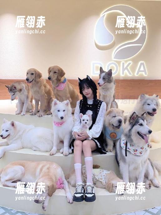 在免费吃瓜网的传送门口，我陷入了八卦的无尽循环……