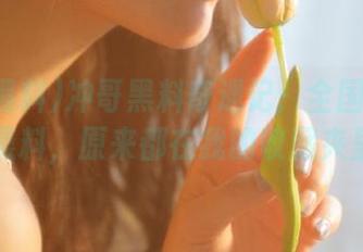冲哥黑料奇遇记：全国一手网红黑料，原来都在我的收藏夹里！