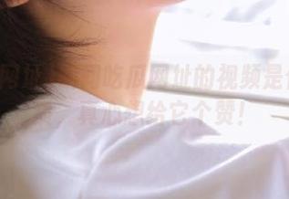 晚间吃瓜网址的视频是什么品质，真心想给它个赞！