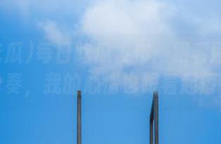 每日吃瓜发布：跟着网红的节奏，我的心情也跟着起落