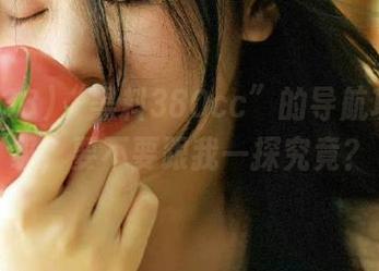 “黑料380cc”的导航功能升级，要不要跟我一探究竟？
