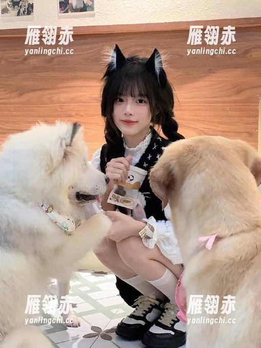 黑料不打烊：更新速度简直让人想问“你们在干嘛？”