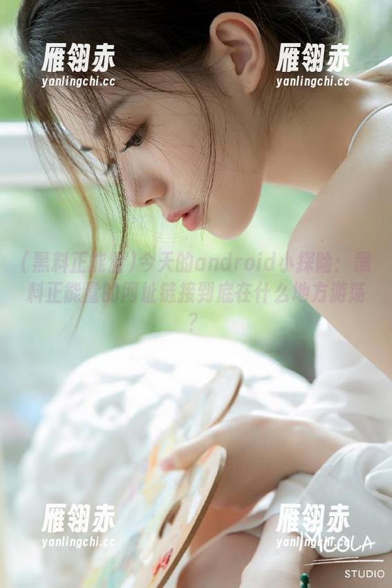 今天的android小探险：黑料正能量的网址链接到底在什么地方游荡？