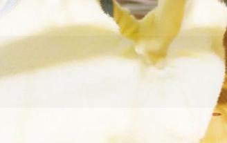 黑料网：今日黑料新线路，搭乘瓜友专车出发吧！